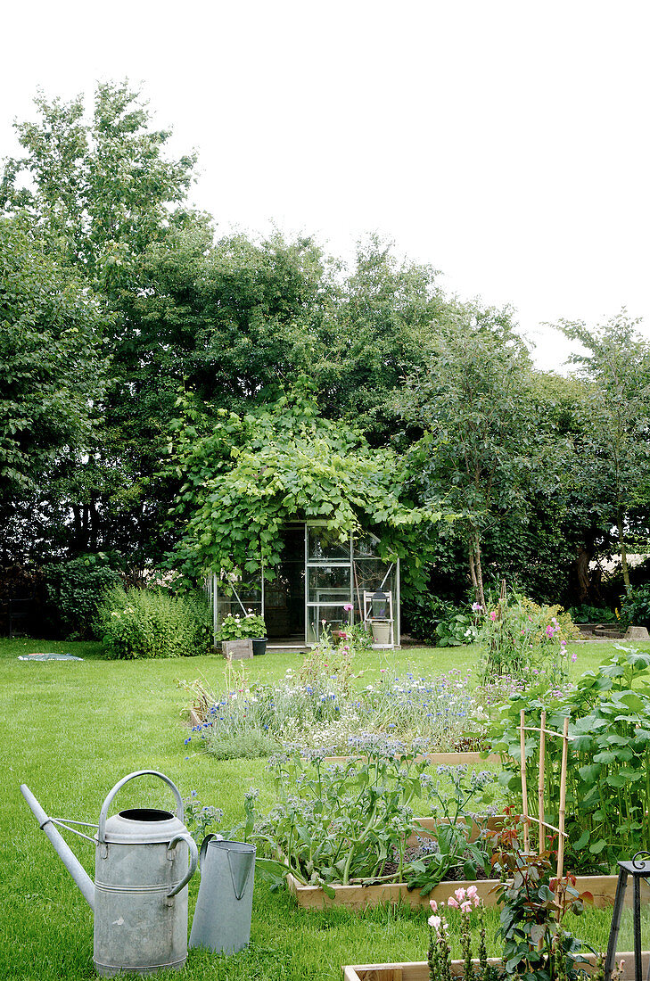 Beete mit Brettern als Begrenzung im sommerlichen Garten