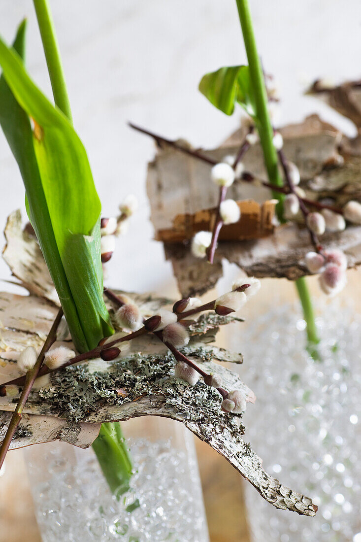 Tulips decorated with birch bark and willow catkins in glass vases