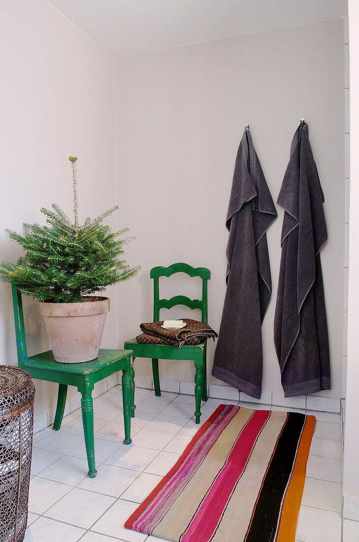 Old green chairs and small potted Christmas tree in bathroom with striped runner