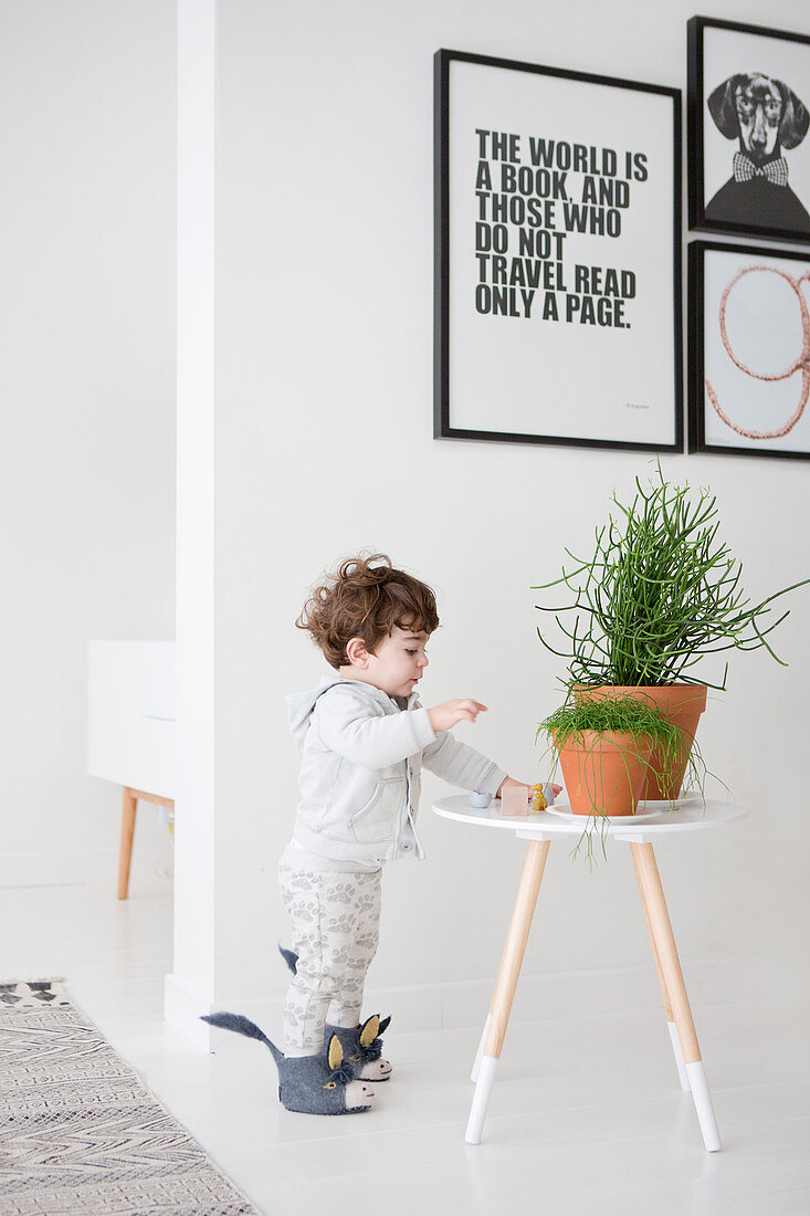 Little boy stood next to houseplants on stool