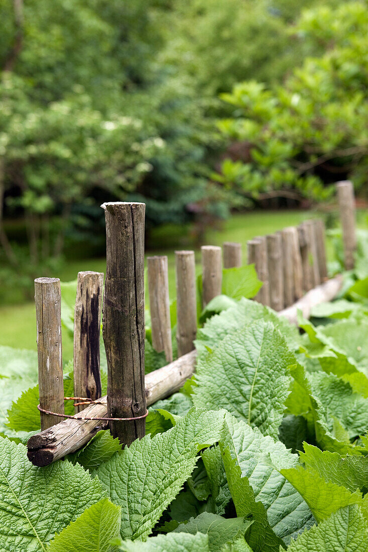 Picket fence as vegetable bed border