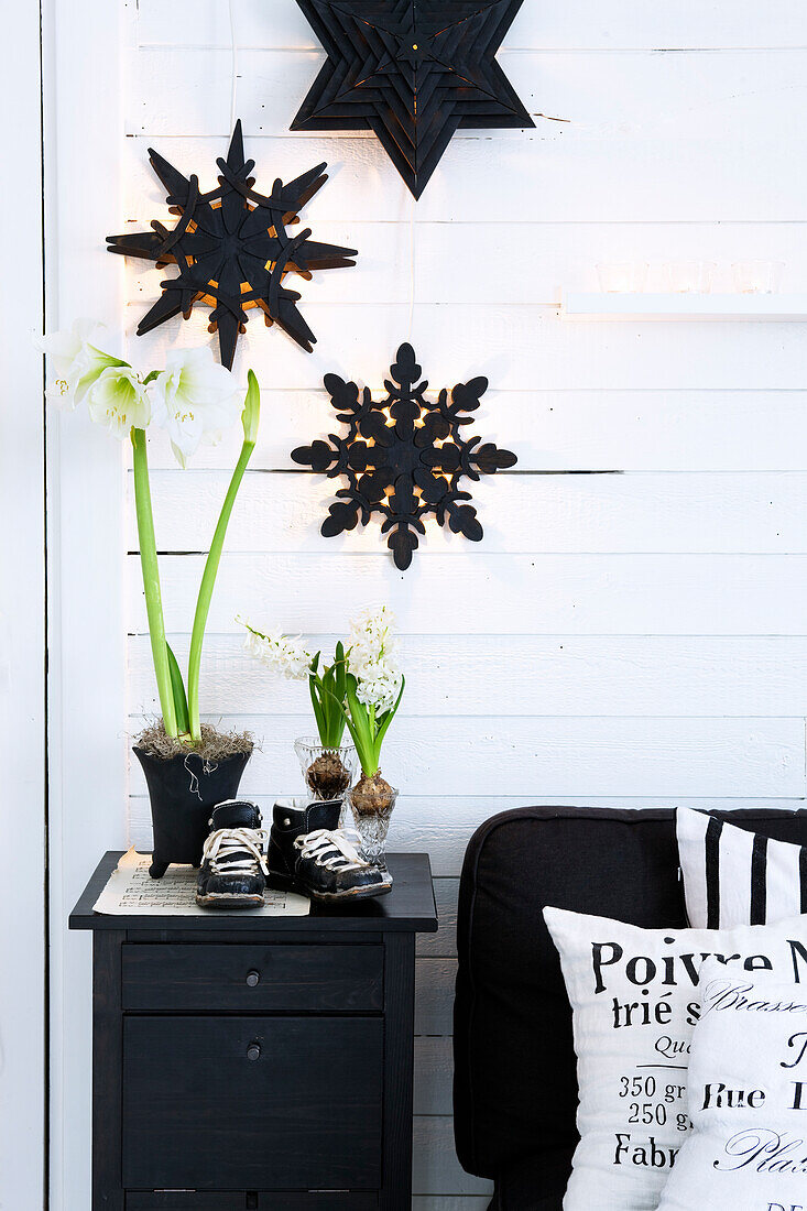 Wooden stars on a white wooden wall, white amaryllis and hyacinths on a black cabinet