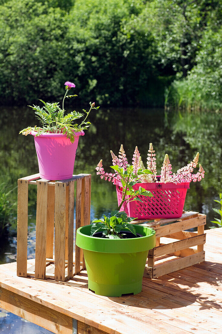 Brightly colored planters as colorful accents in the garden