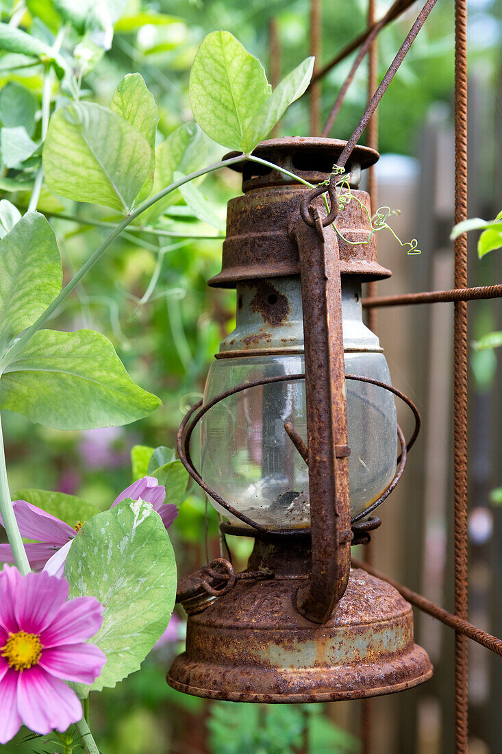 Rusty old lantern hung on the steel grid in the garden
