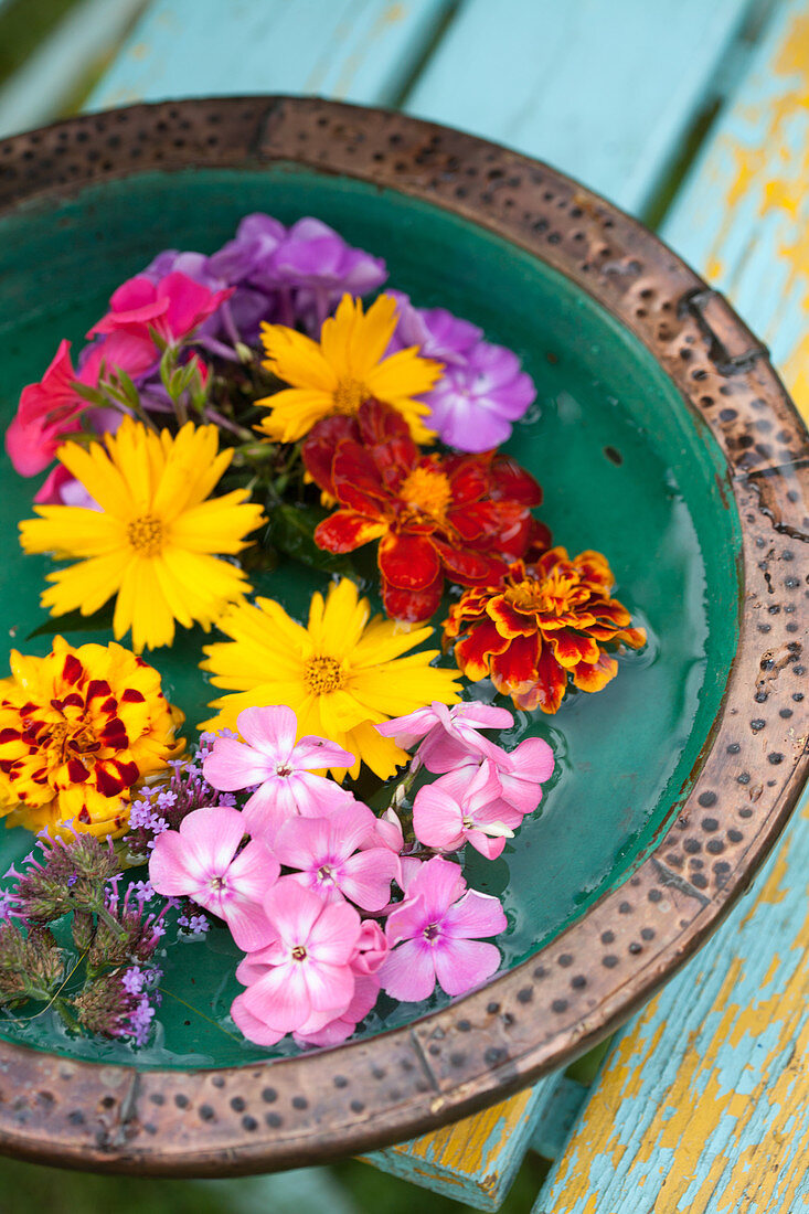 Phlox, Mädchenauge, Studentenblume und Eisenkraut in einer Wasserschale