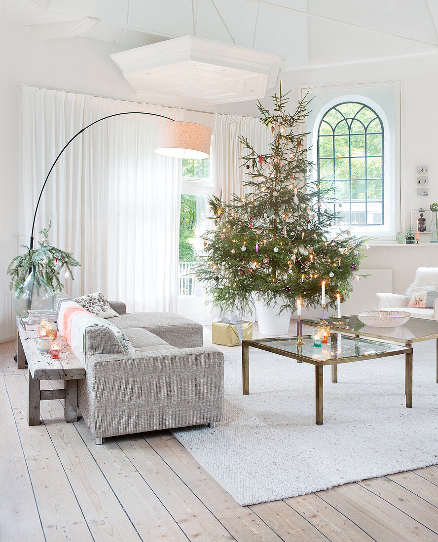 Christmas tree in bright living room with sofa, coffee table and wooden floor
