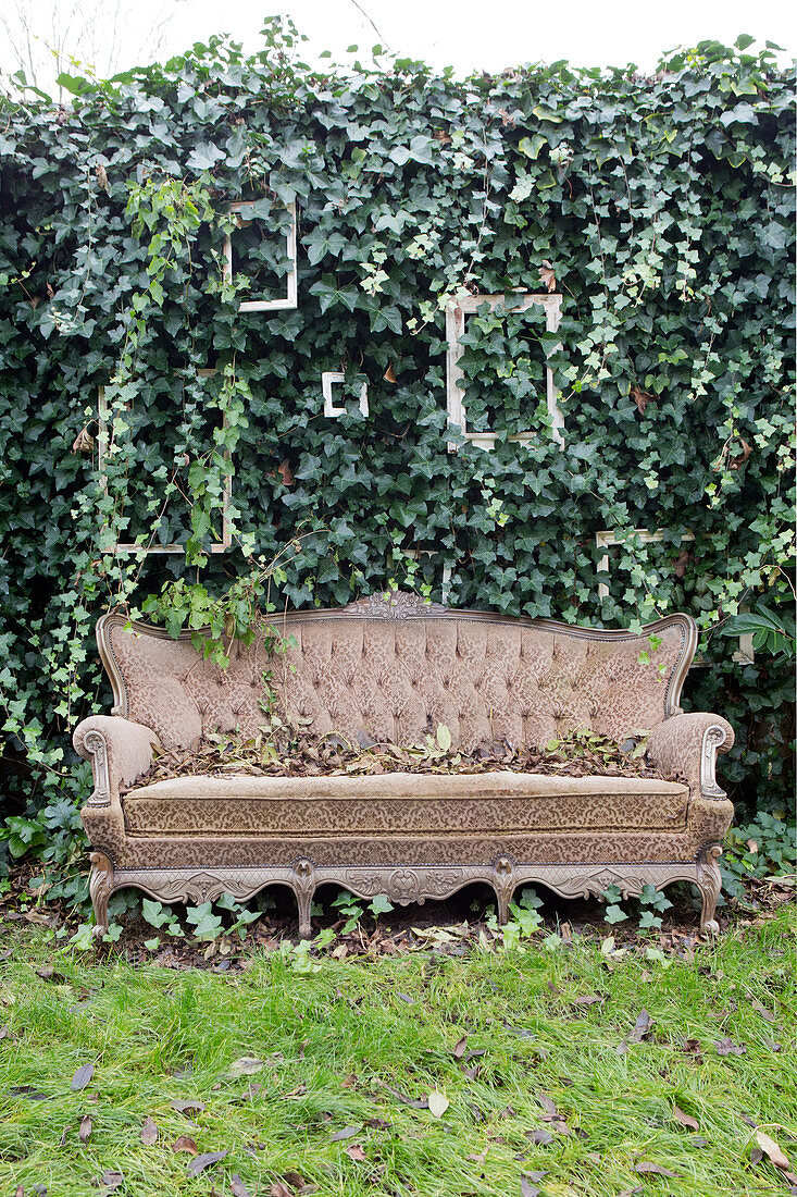 Old sofa in front of the garden wall with ivy and picture frames