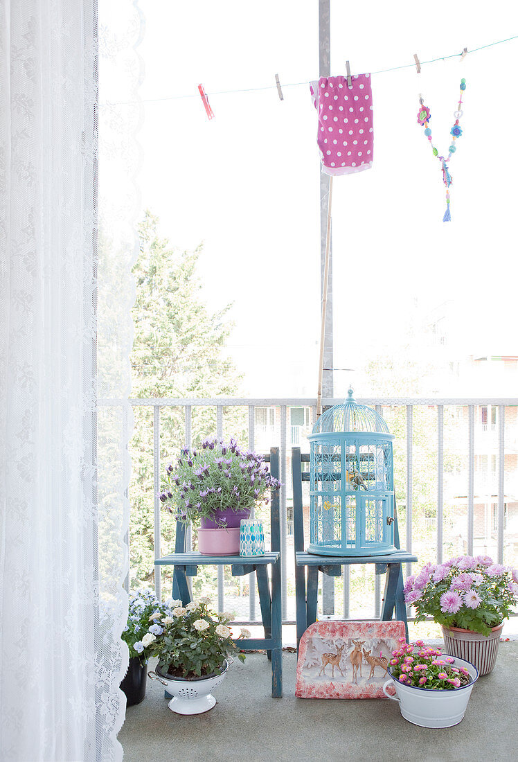 Blaue Stühle und Blumen auf dem Balkon