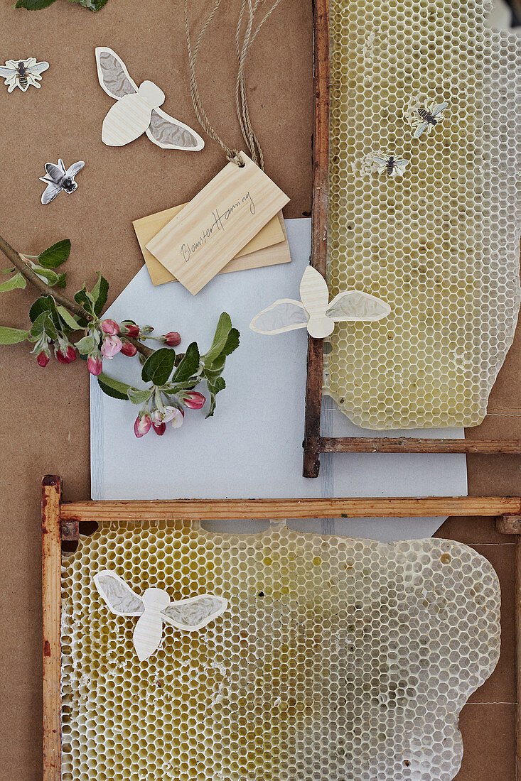 Bienen aus Papier und Obstzweig auf Bienenwaben
