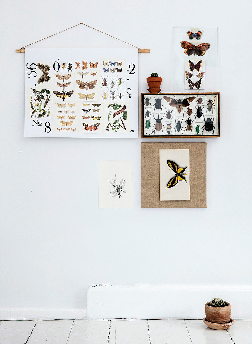 Insektenkasten, Poster mit Schmetterling-Motiv und Postkarten als Wanddeko