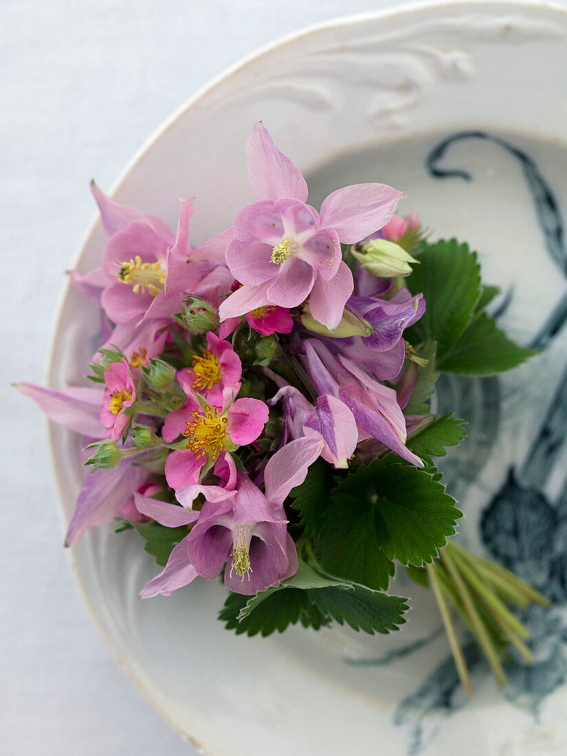 A bouquet of pink columbines and pink strawberry blossoms
