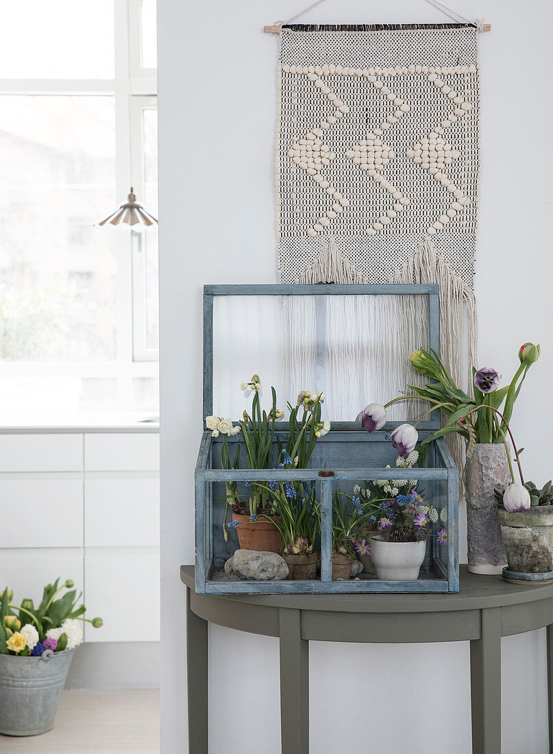 Spring flowers in a cold frame on a semicircular console table with a tapestry hanging on the wall