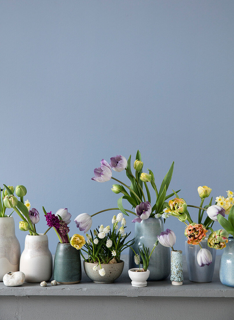 Tulips, hyacinths, daffodils, and grape hyacinths in different vases
