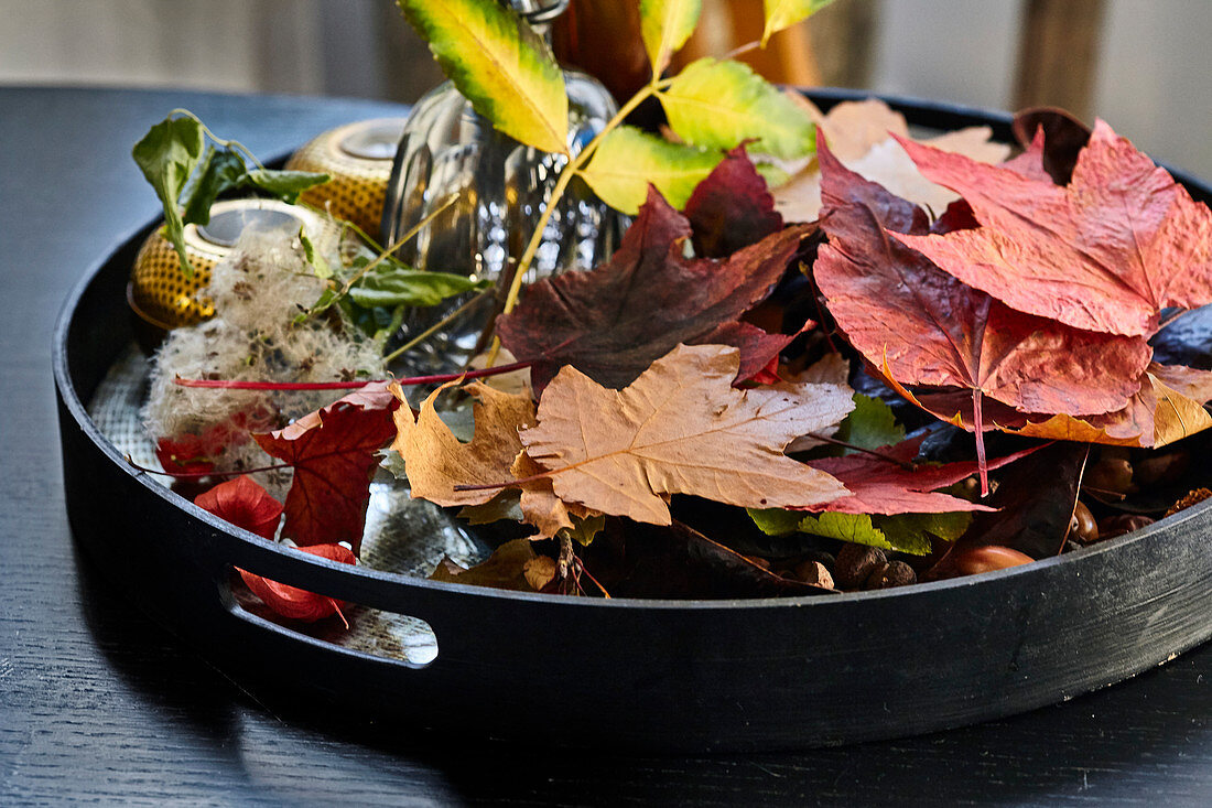 Tray with autumn leaves
