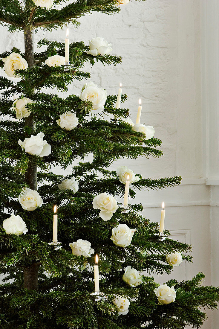 Mit weißen Rosen und weißen Kerzen geschmückter Weihnachtsbaum