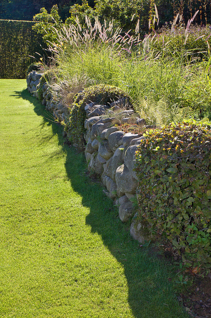 Bewachsene Natursteinmauer im gepflegten Rasen