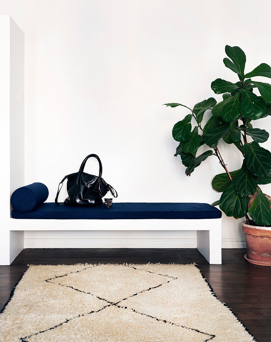 A fiddle-leaf fig next to a simple bench with a diamond-patterned rug