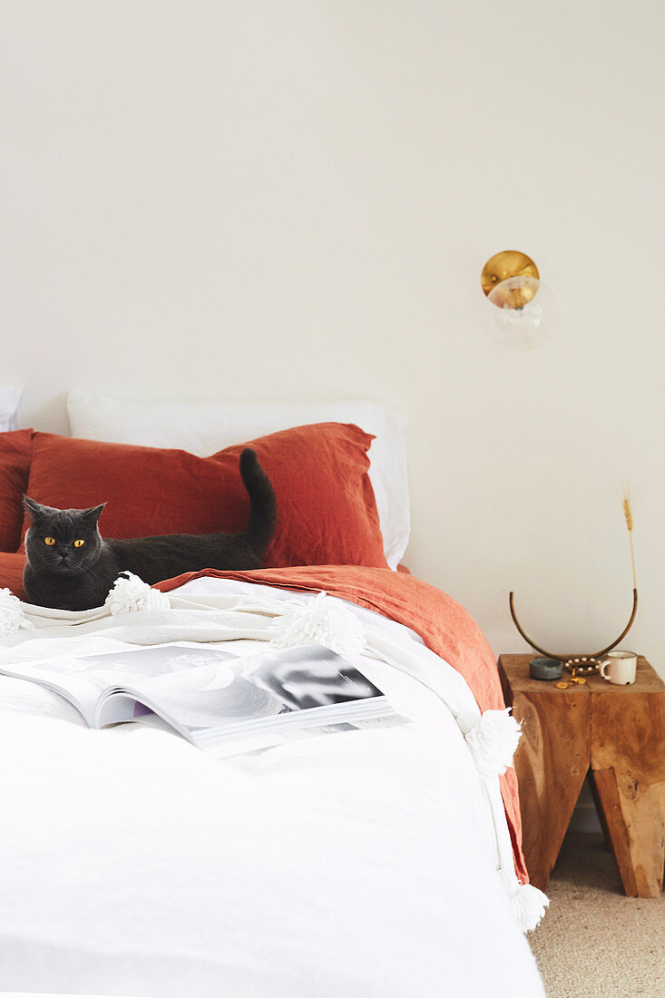 Schwarze Katze auf Bett mit weißer und roter Bettwäsche