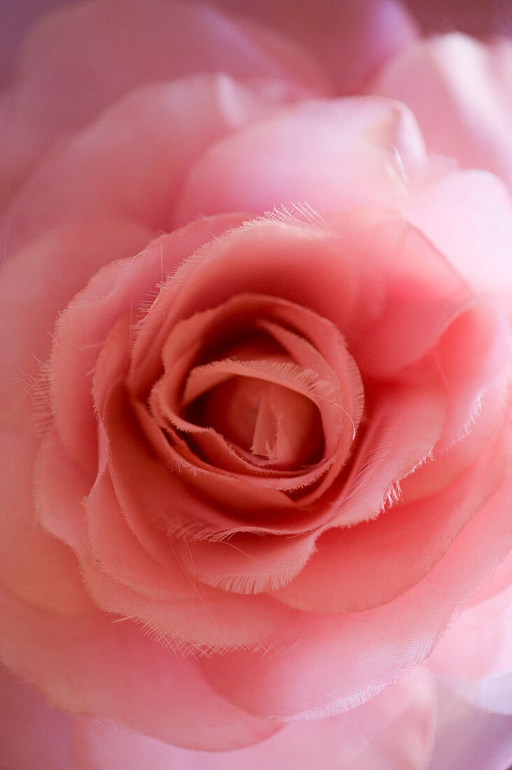 Detail einer rosafarbenen Stoffrose