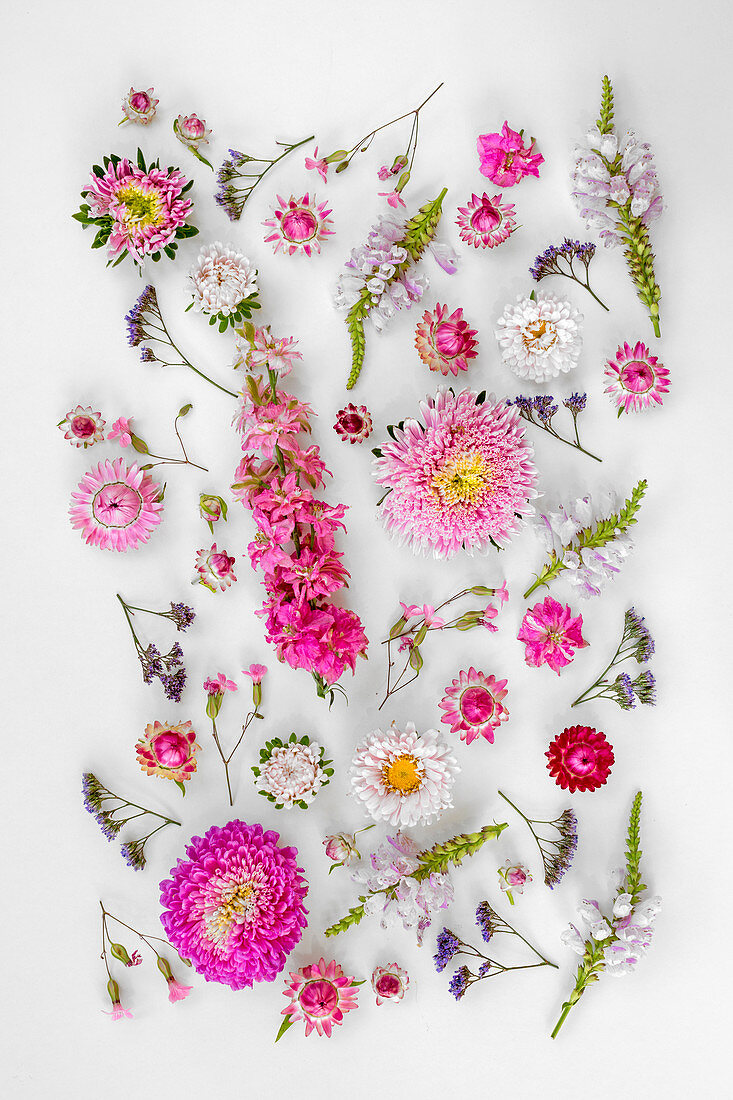 Blütentableau aus pinken und rosafarbenen Blüten
