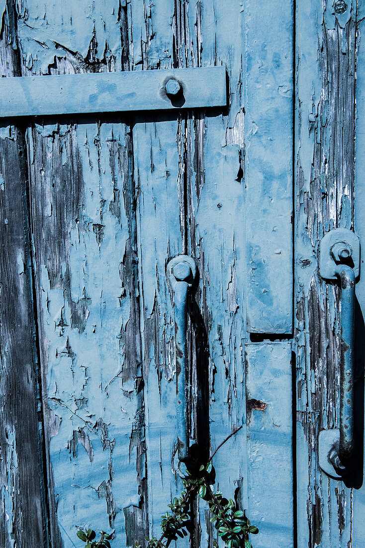 Wooden door with peeling blue paint