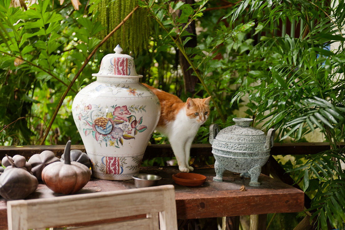 A cat stands between two vases on tabletop with old gourds and palms in the background