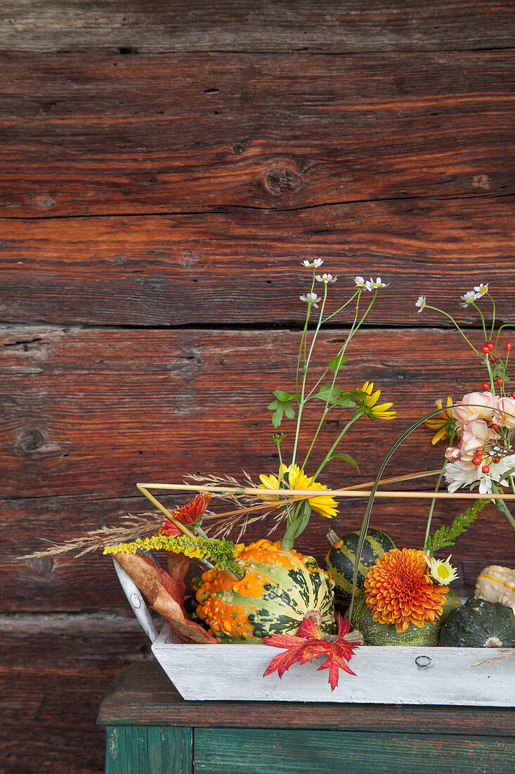 Zierkürbisse als Vase mit Herbstblumen geschmückt