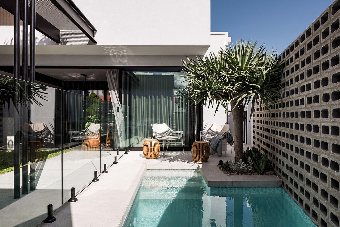 Small courtyard garden with pool at the modern architect's house