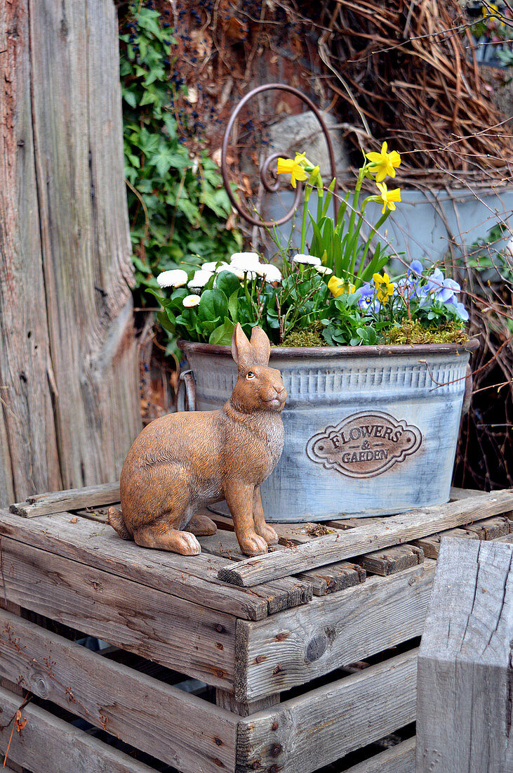 Bunny statue next to bucket garden of daffodils and violets