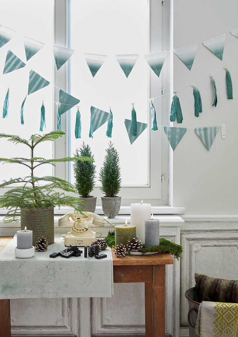 Festive arrangement of candles, pine cones, plants and bunting