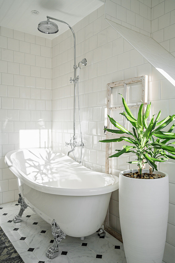 Freistehende Badewanne und Zimmerpflanze im Badezimmer
