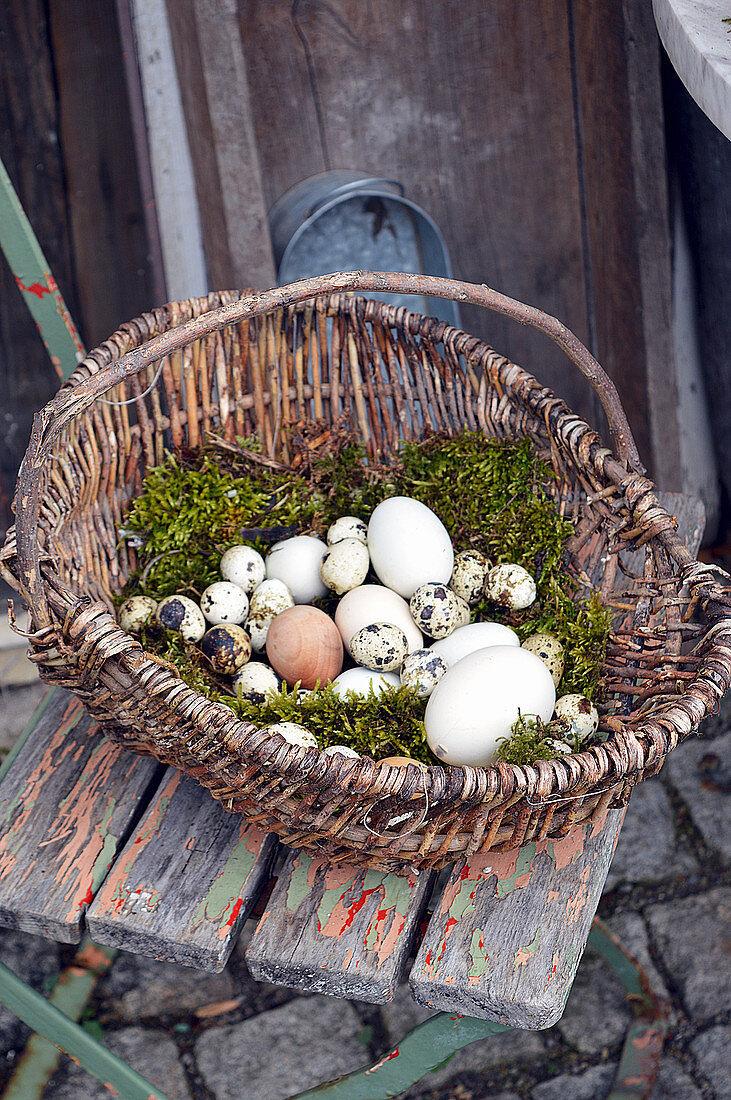 Old wicker basket used as an Easter nest
