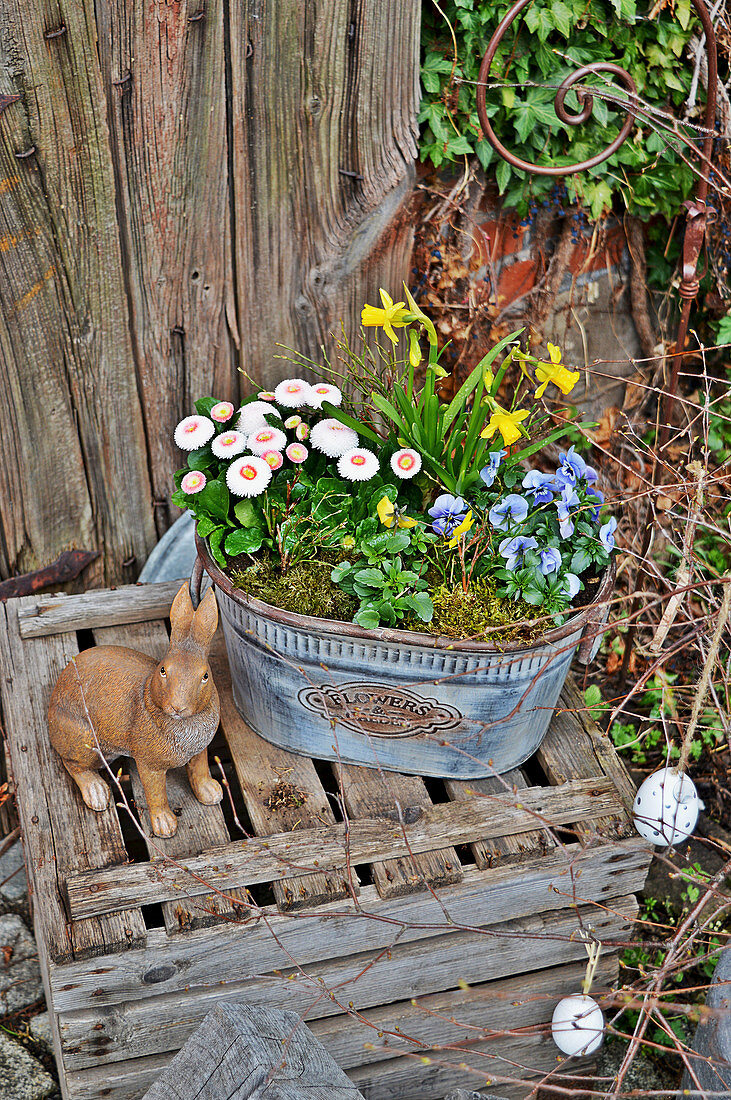 Osterhase neben Zink-Jardiniere mit Frühlingsblumen