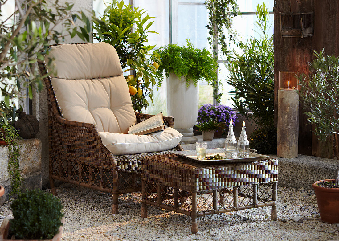 Wicker chair in pleasant seating area amongst lush planting in conservatory