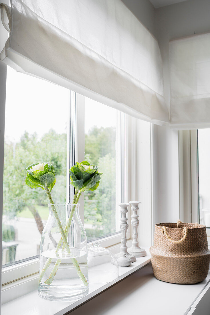Zierkohl in einer Glasvase und Korb am Fenster mit weißen Rollos