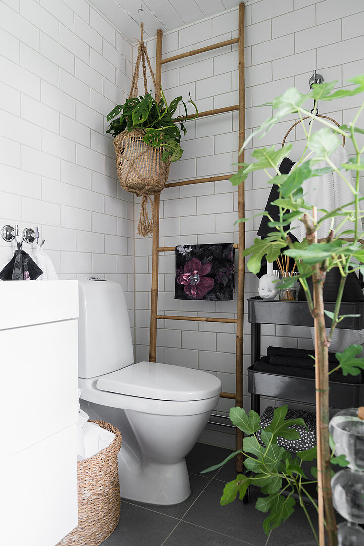 Wooden ladder and houseplant in hanging basket next to toilet in white-tiles bathroom