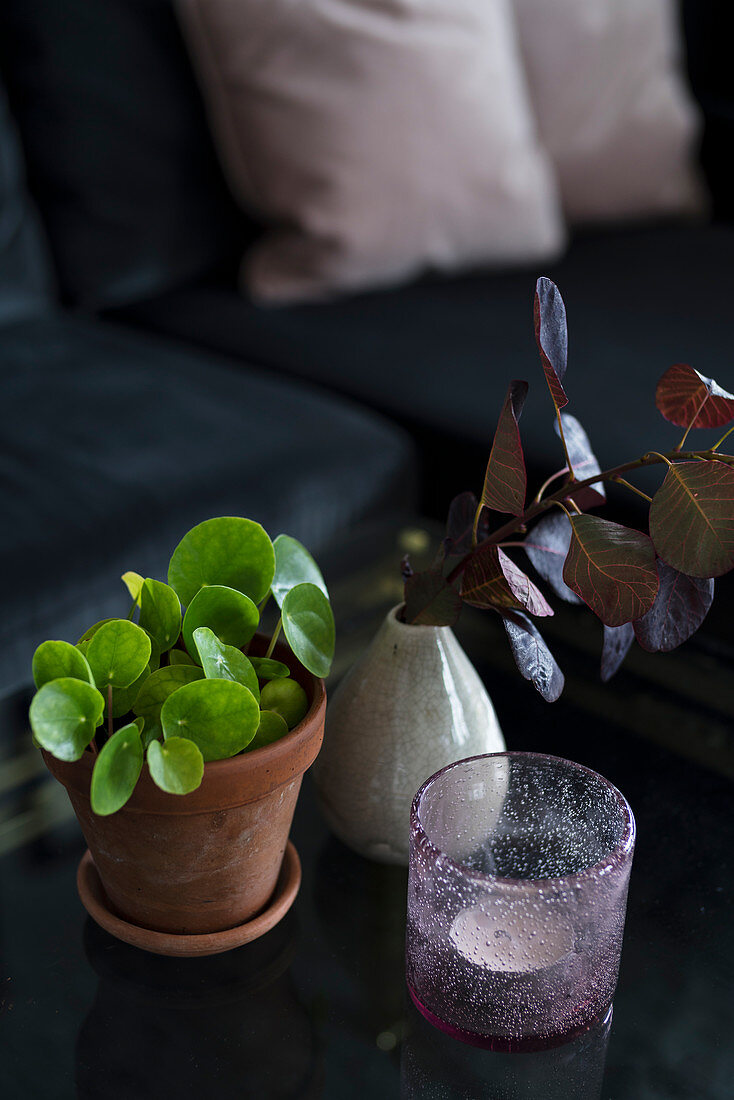Teelicht, Grünpflanze in Topftopf und Blätterzweig in Vase als Deko auf Couchtisch