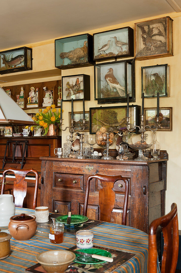 Various stuffed animals in glass display cases on wall above antique wooden sideboard and piano