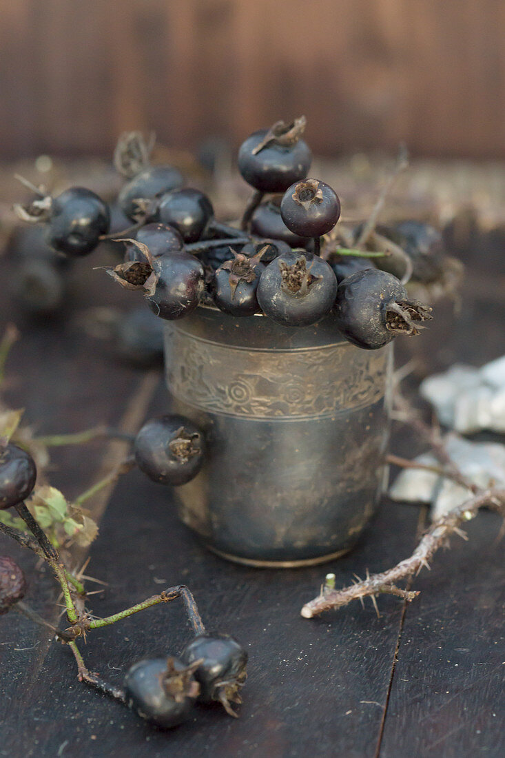 Black, dried rose hips in tarnished silver beaker