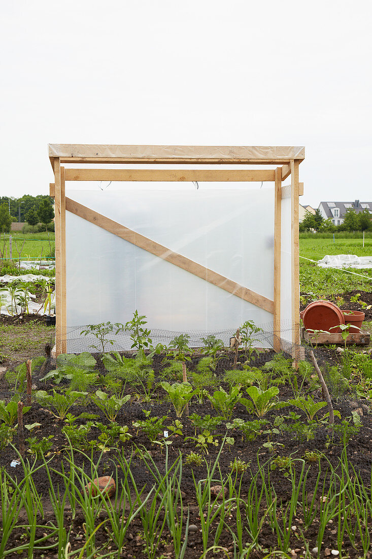 DIY-Tomatenhaus im Garten
