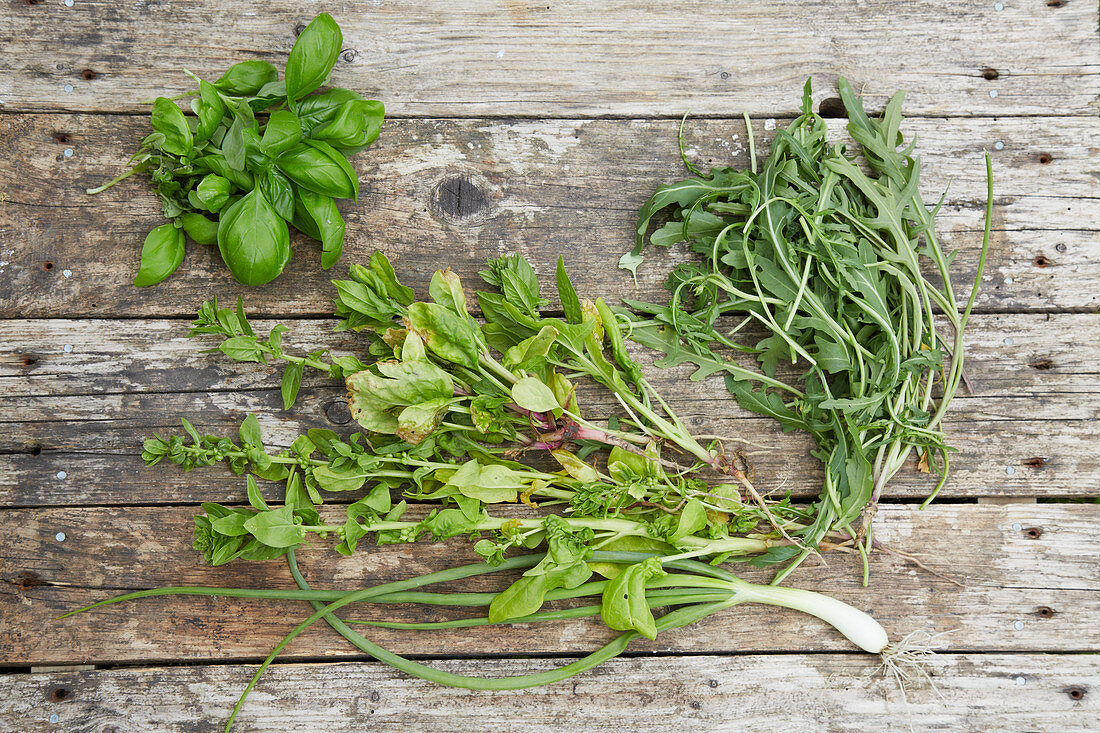 Frisch geernteter Spinat, Basilikum und Rucola auf Holztisch