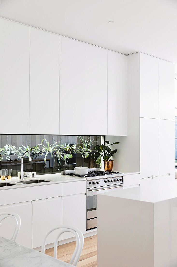Schlicht moderne weiße Küche mit Pflanzenterrarium als Küchenrückwand