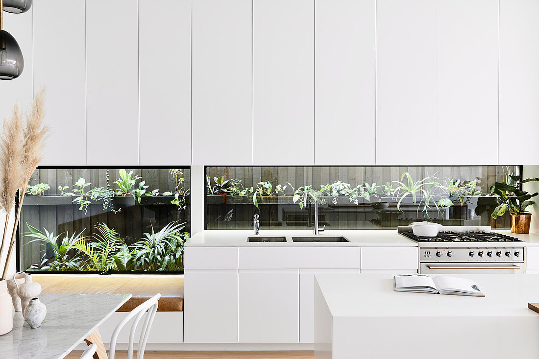 Open modern white kitchen with plant terrarium as a kitchen back wall