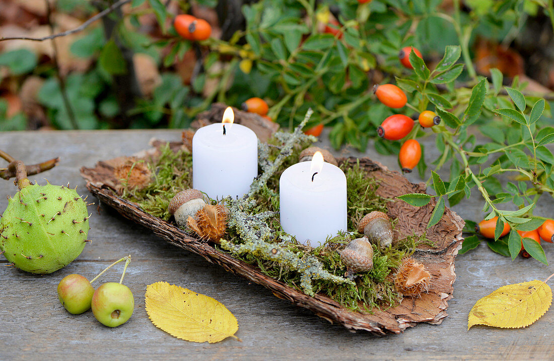 Kerzen mit Moos und Eicheln auf Baumrinde