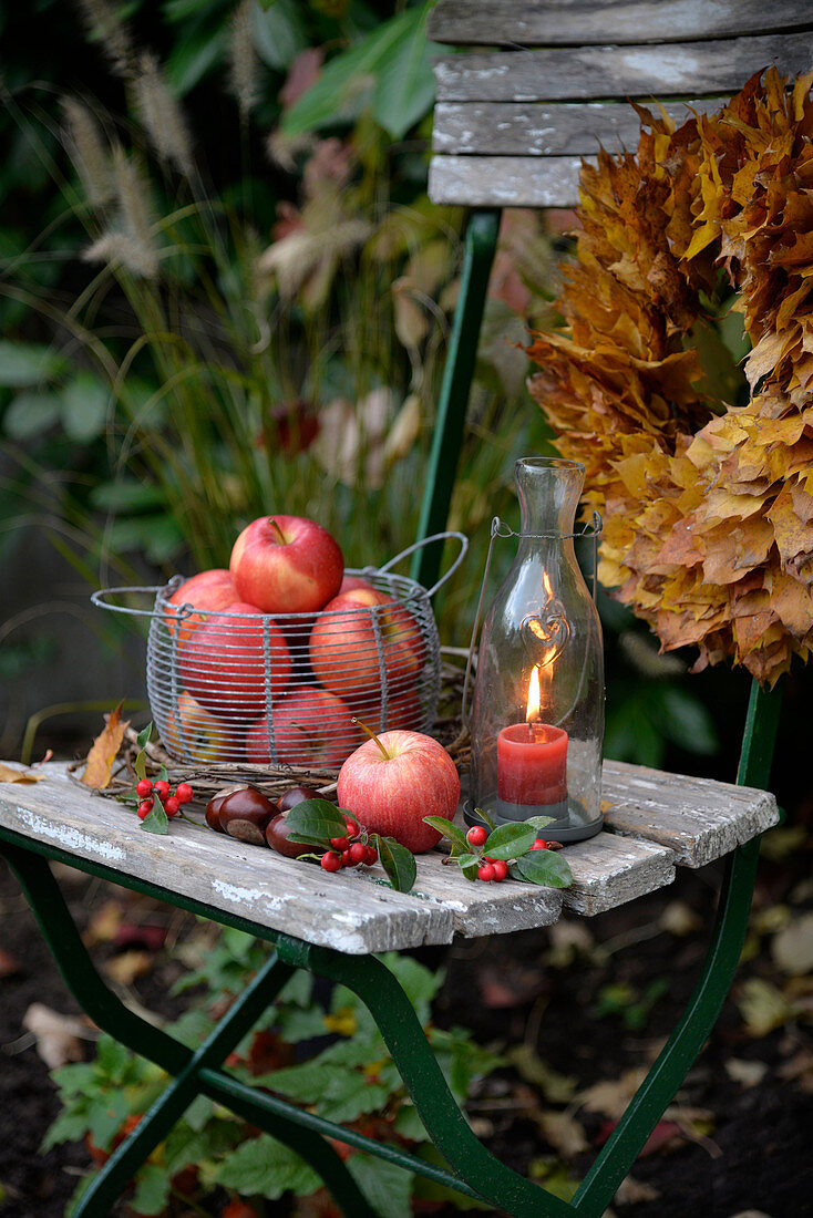 Korb mit Äpfeln und Windlicht auf altem Gartenstuhl