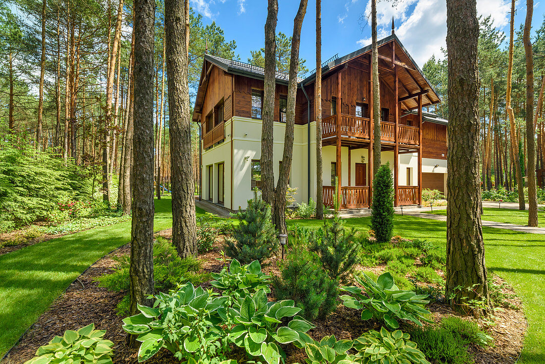 Landhaus in der Lichtung eines Kiefernwaldes