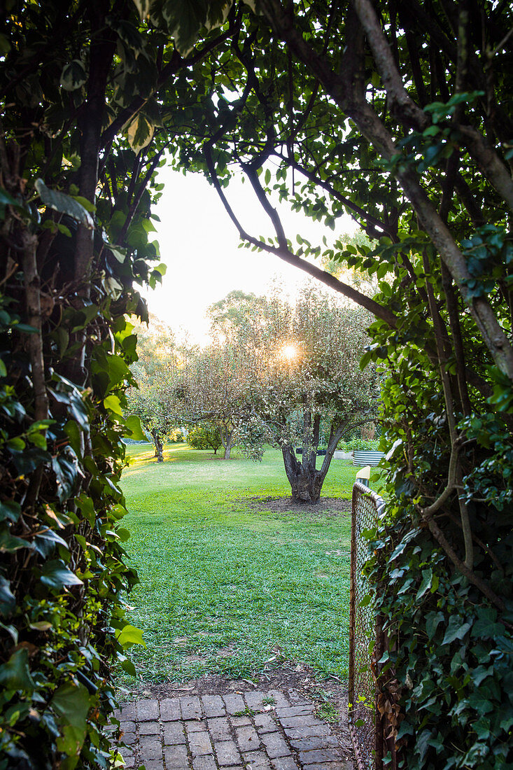Blick durch mit Efeu beranktem Bogen auf Birnenbaum in den Garten