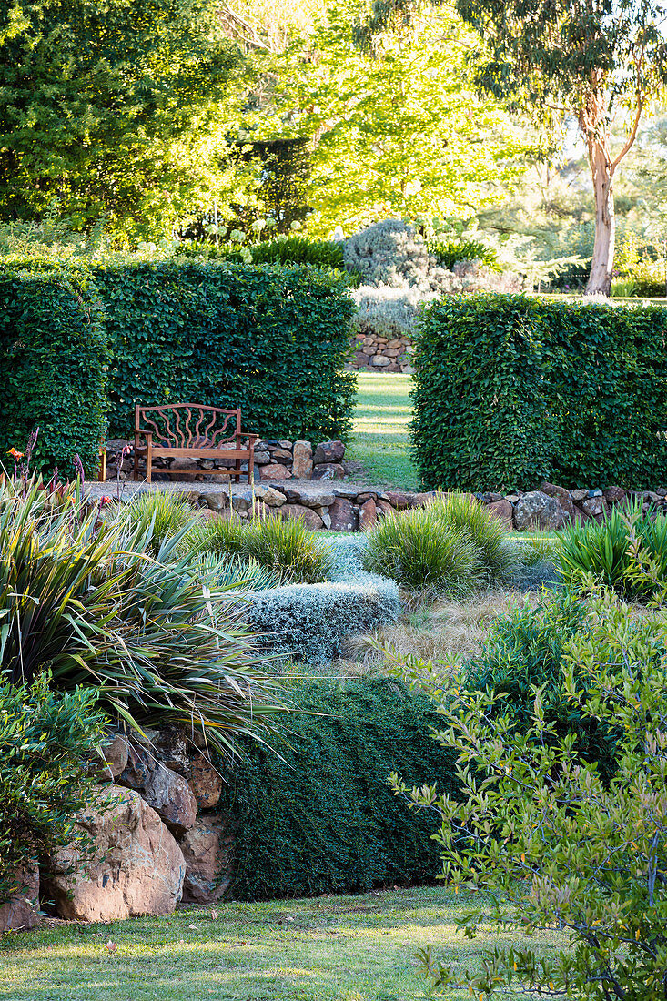 Terran-shaped garden with hornbeam hedge