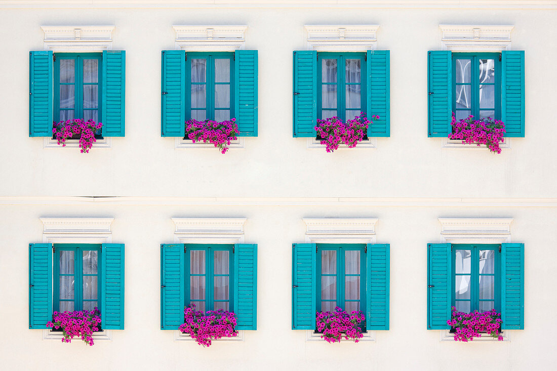 Windows with bright blue shutters and bright pink petunias in window boxes in white facade