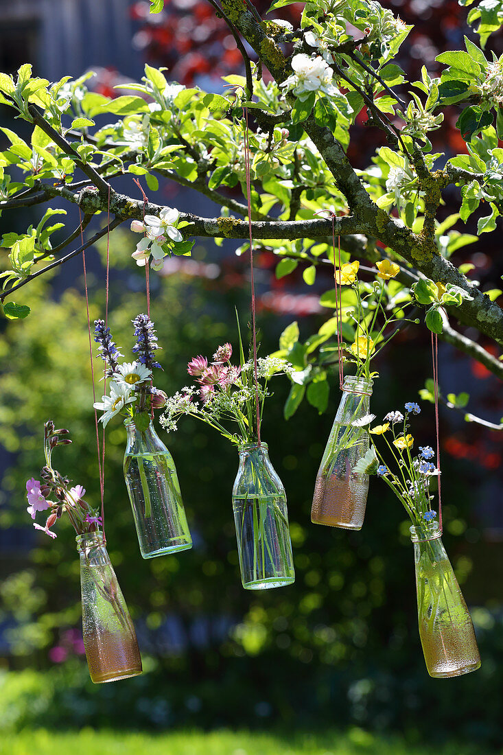 Wiesenblumen in Glasflaschen aufgehängt an blühendem Obstbaum
